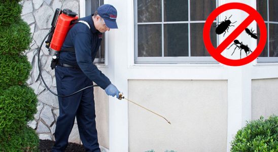 Yozgat Akrep İlaçlama böcek ilaçlama ve haşere kontrolü — ilaclama-tr.com